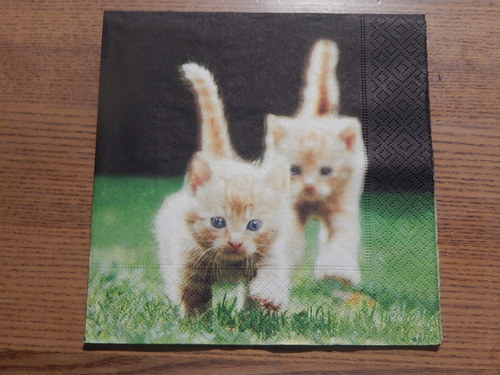 Ubrousek na decoupage - koťata na procházce