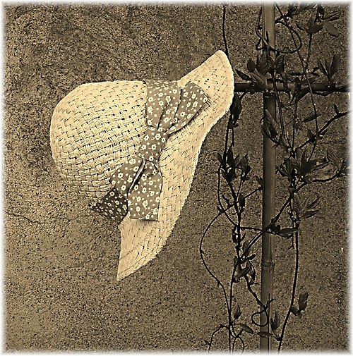 *** GARDEN II *** klobouk - sleva — foto 1