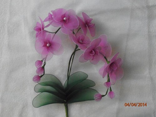Orchidej zápich na přání — foto 1