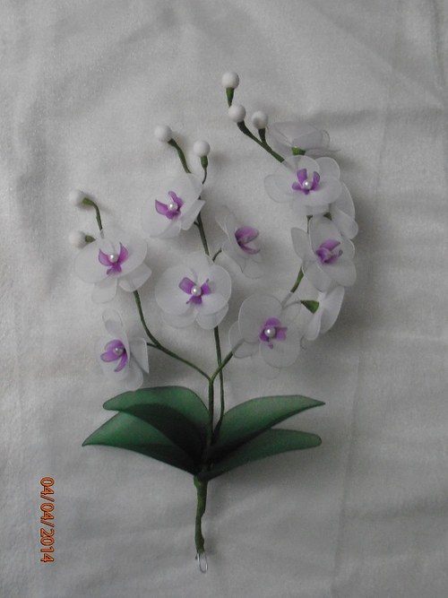 Orchidej zápich na přání — foto 1