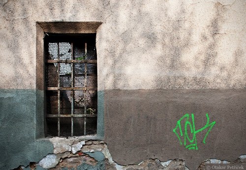 Mřížovaná — foto 1