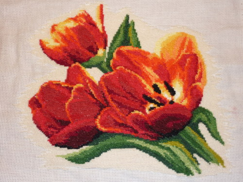 Tulipány — foto 1