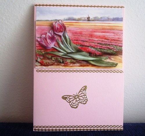 Přáníčko tulipánové — foto 1