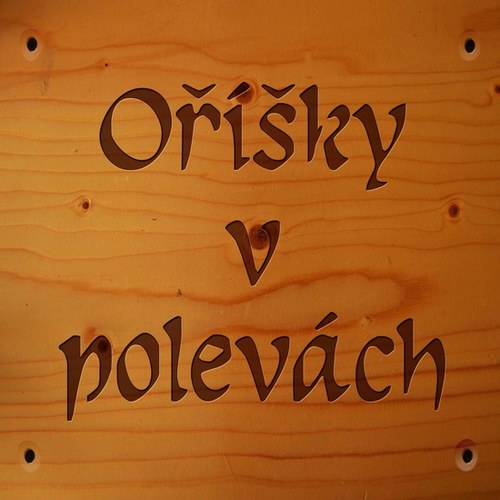 Cedulka hliníková imitace dřevo Váš text 30x30cm