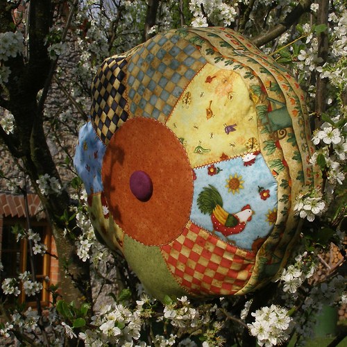 Květ knoflíkovníku — foto 1