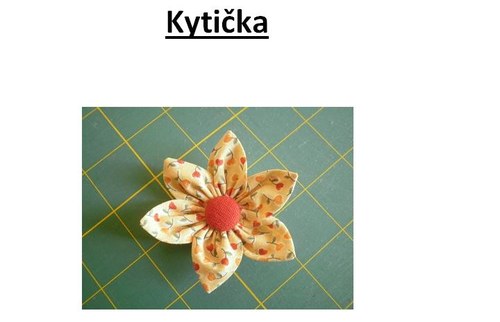 Fotopostup- kytička