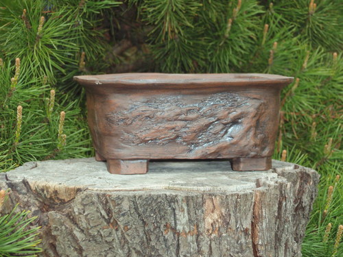 Bonsai miska tmavá — foto 1