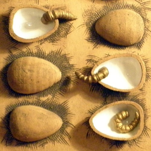 Líhnutí — foto 1