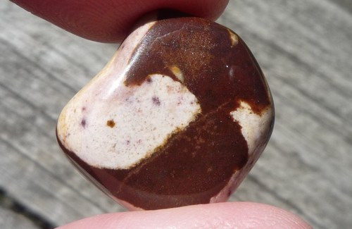 Jaspis kalahari P8783