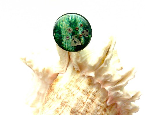 Steampunk original -Vigilate fractis moss — foto 1