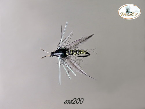 Osa200 — foto 1