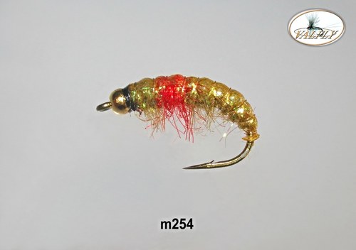 M254 — foto 1