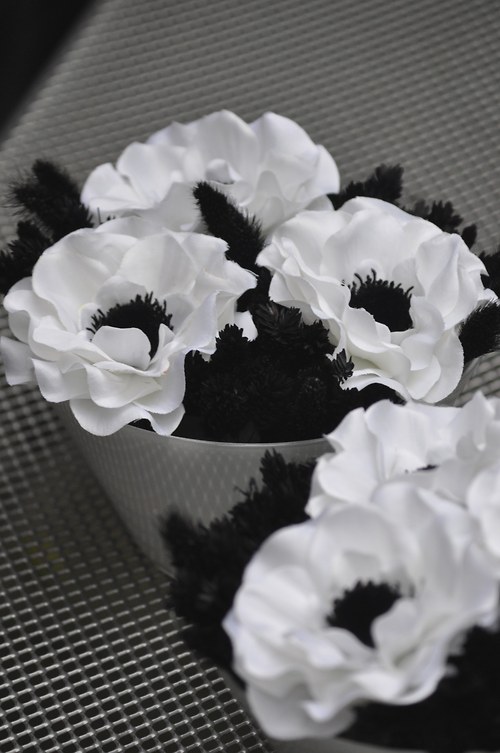 Black&White - pouze 1 ks — foto 1