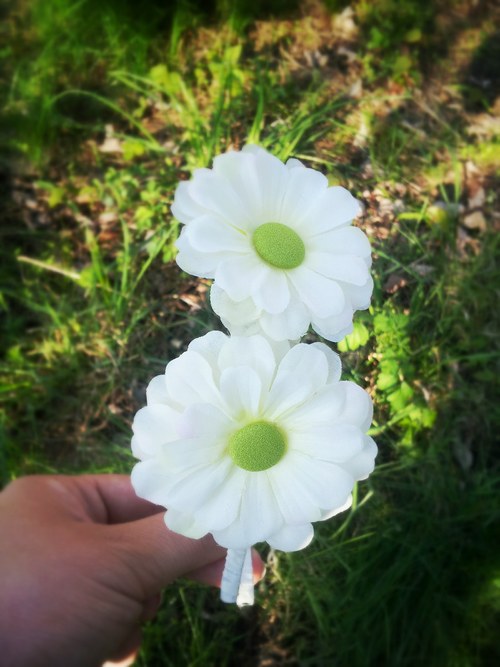 Kopretiny...čelenka — foto 1