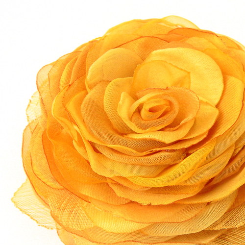 Where the wild roses grow — foto 1