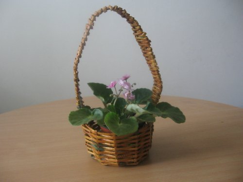 Košíček — foto 1