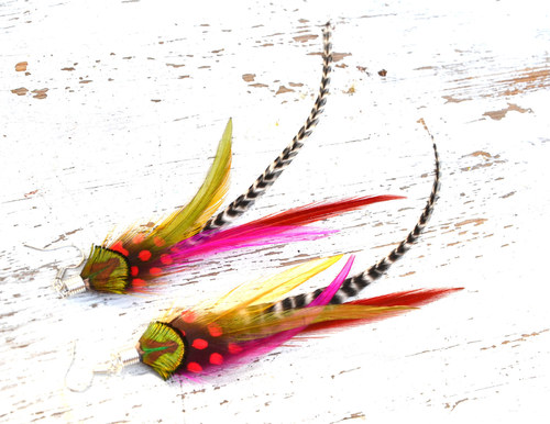 Rainbow snake — foto 1