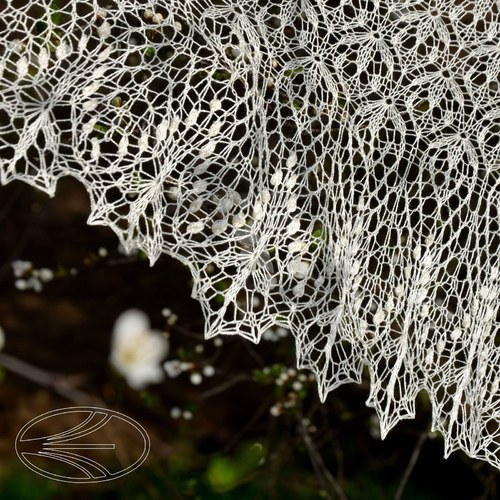Silk flowers — foto 1