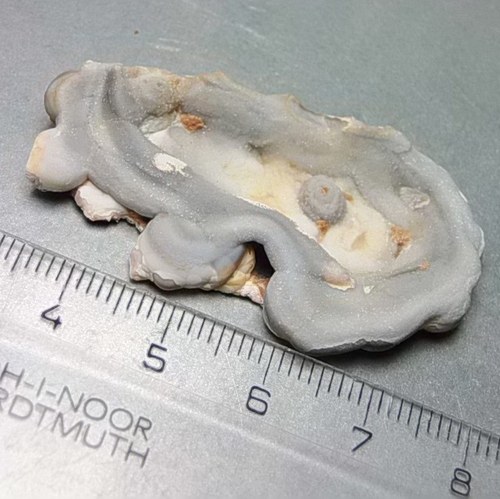 Chalcedonová růže (hadí achát) D617 — foto 1
