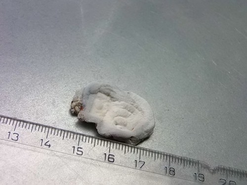 Chalcedonová růže (hadí achát) D725 — foto 1