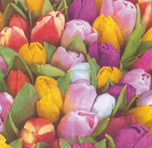 Ubrousek - tulipány — foto 1