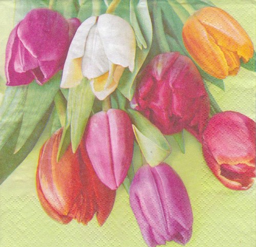 Ubrousek - tulipány