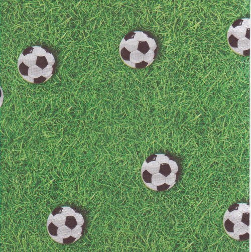 Ubrousek - fotbalové míče