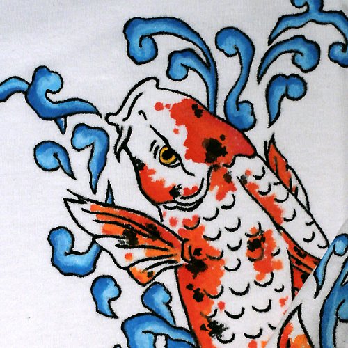 Koi kapřík — foto 1