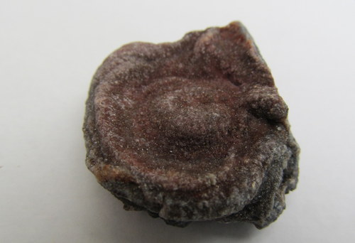 Chalcedonová růže - hadí achát.