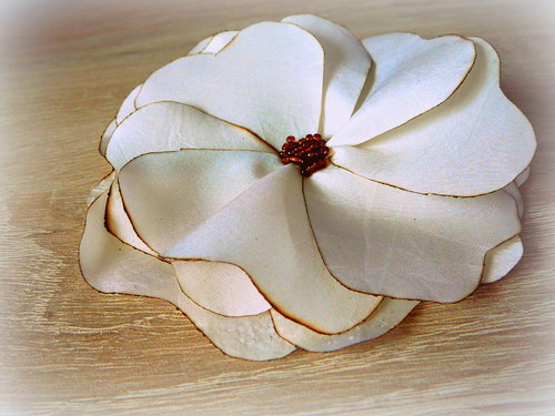 Smetanová brož. — foto 1