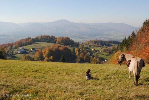 Barevným krajem