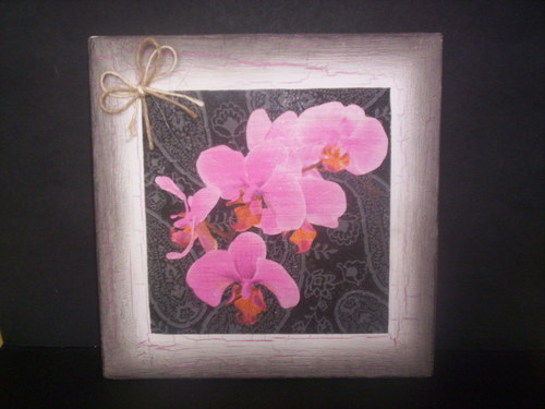 Orchideje