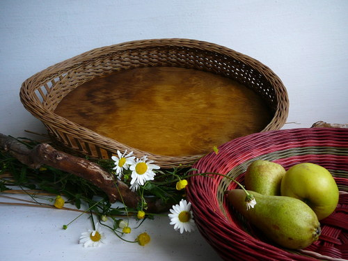Tác jednoroh - hnědo-olivový — foto 1
