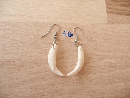 LIŠČÍ NÁUŠNICE — foto 1