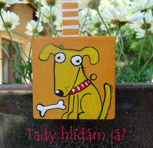 Tady hlídám já? — foto 1