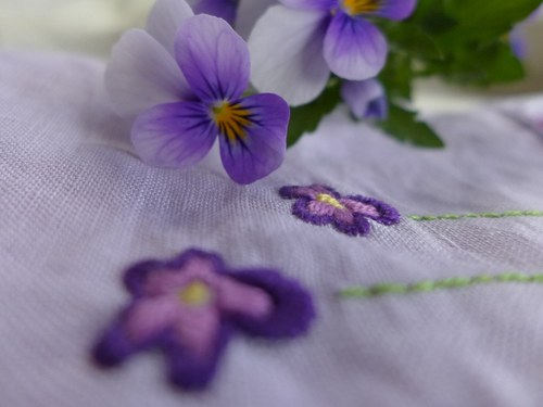 Violky. — foto 1
