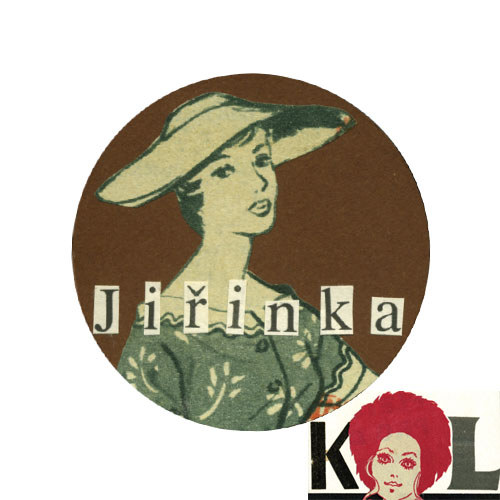 Magnetka/ Jiřinka