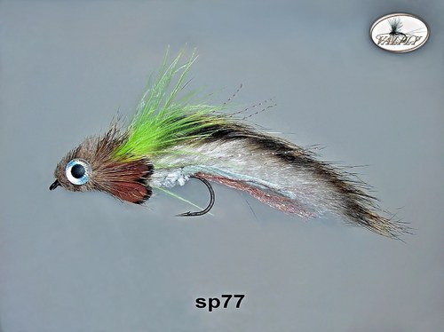 Sp77 — foto 1