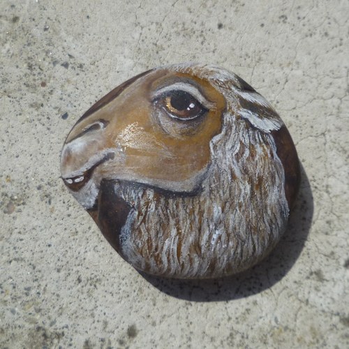 Veselí velbloudi neloudí G — foto 1