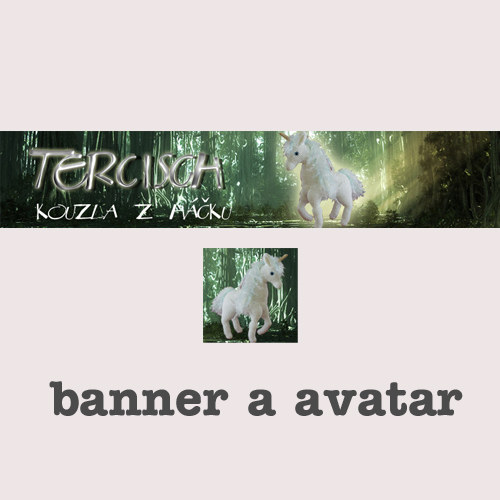 BANNER A AVATAR / na přání — foto 1