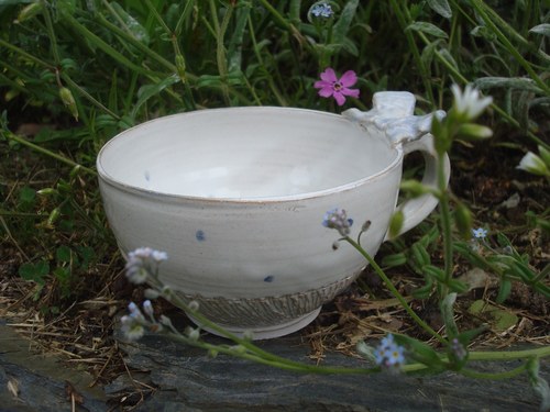 HRNEK Rosa Ile de Bourbon stuhy — foto 1
