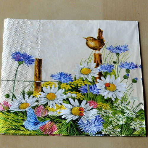 Ubrousek - Ptáček na louce — foto 1