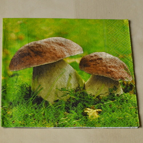 Ubrousek - Houby — foto 1