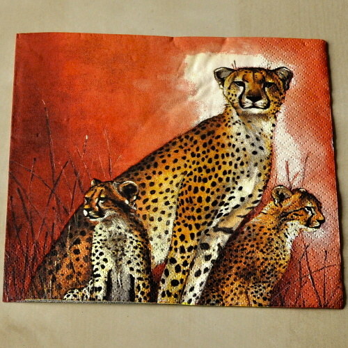Ubrousek - Gepard