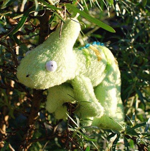 Plyšový chameleon — foto 1
