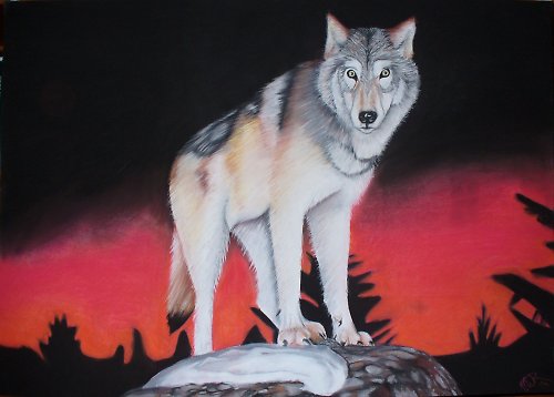 Kresba vlka (88cm x 62cm) — foto 1