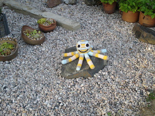 Octopus pruhus - melírus na objednávku — foto 1
