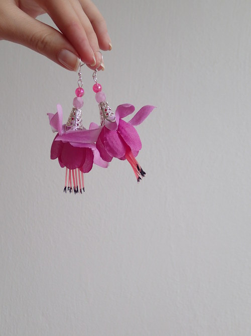 Fuchsia magellanica — foto 1