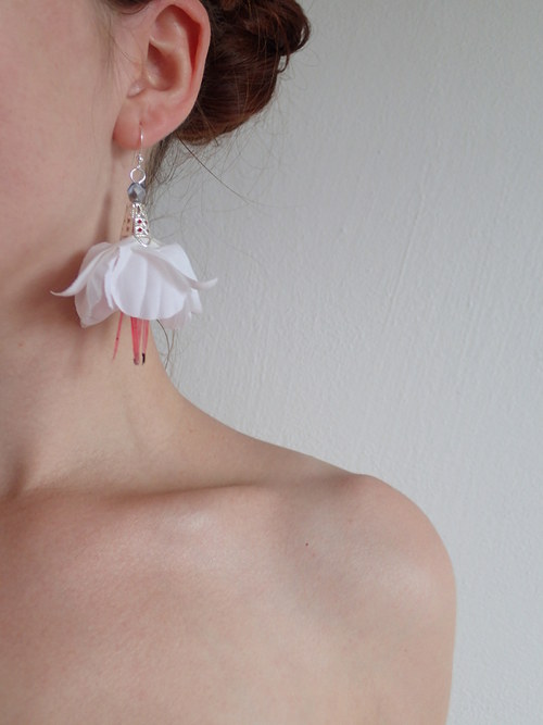 Fuchsia magellanica II. — foto 1