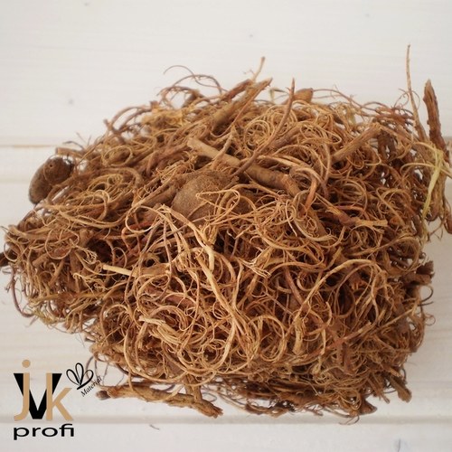 Curly moose - hnědý — foto 1